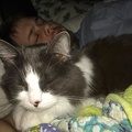 IMG 7559