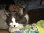 IMG 7559