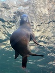 Zoo